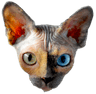 kotik
